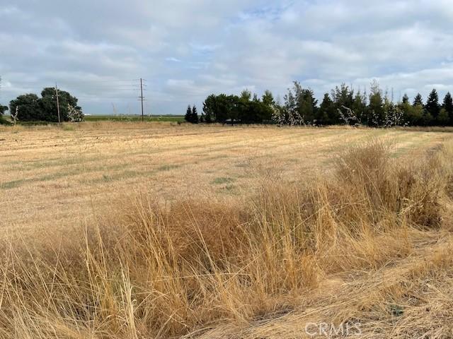 2552 State Highway 45, Glenn, CA 95943 - photo 20