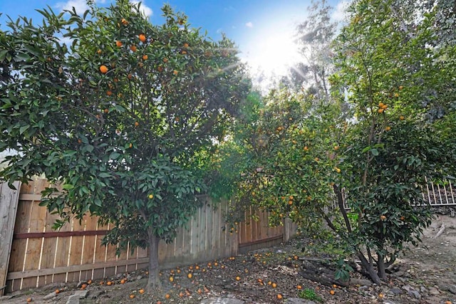 2148 Estela Dr, El Cajon, CA 92020 - photo 49