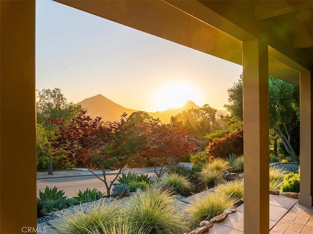 2036 Skylark Ln, San Luis Obispo, CA 93401 - photo 9