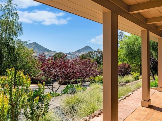 2036 Skylark Ln, San Luis Obispo, CA 93401 - photo 2
