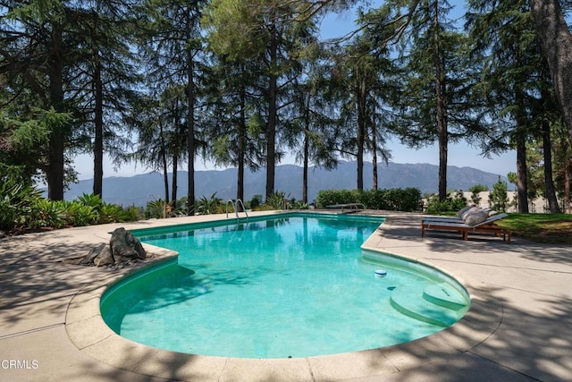 5445 La Crescenta Ave, La Crescenta, CA 91214 - photo 35