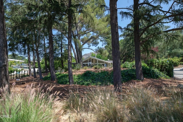 5445 La Crescenta Ave, La Crescenta, CA 91214 - photo 40