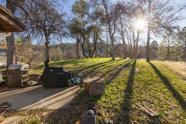 36820 Mudge Ranch Rd, Coarsegold, CA 93614 - photo 52
