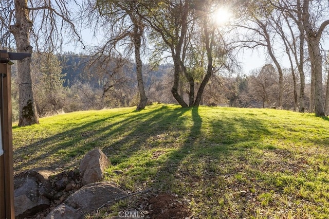 36820 Mudge Ranch Rd, Coarsegold, CA 93614 - photo 51
