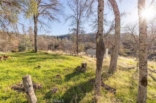 36820 Mudge Ranch Rd, Coarsegold, CA 93614 - photo 53