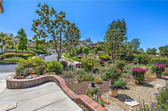 13929 Highlander Rd, La Mirada, CA 90638 - photo 24