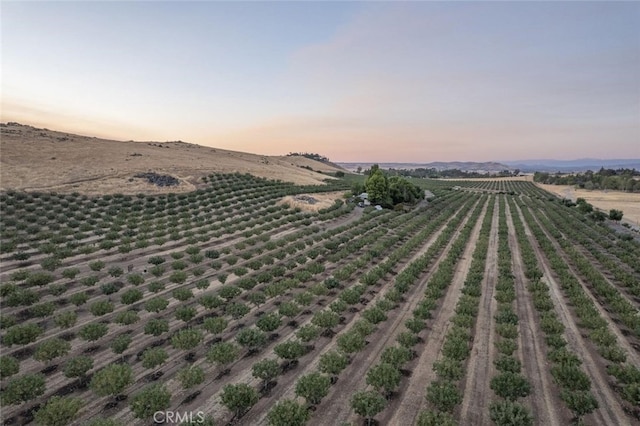13638 E Shepherd Ave, Clovis, CA 93619 - photo 22