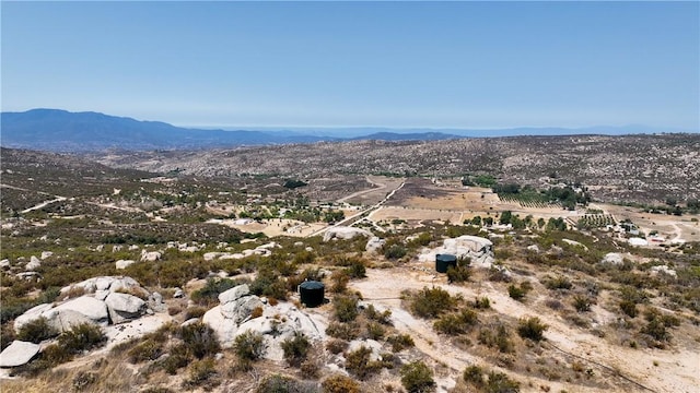 8 Centernnial St, Aguanga, CA 92536 - photo 6
