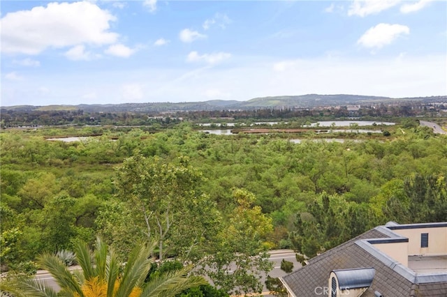 3451 Watermarke Pl, Irvine, CA 92612 - photo 34