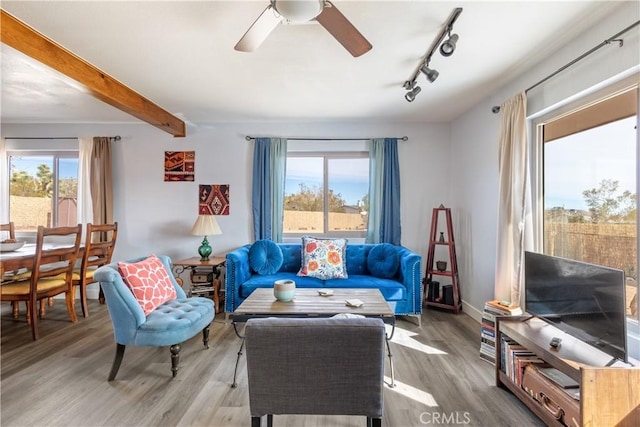 6122 Panorama St, Joshua Tree, CA 92252 - photo 20