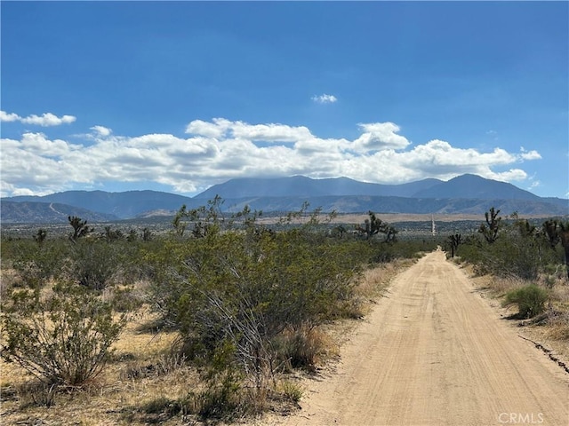 33400 187th St E, Llano, CA 93591 - photo 2