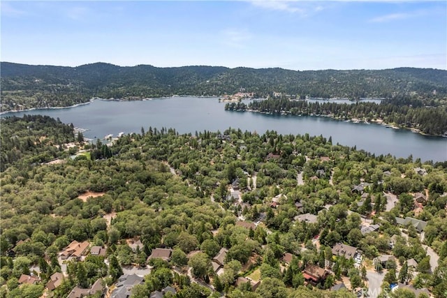 28116 Lachen Rd, Lake Arrowhead, CA 92352 - photo 51