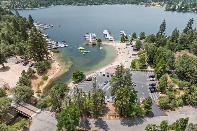 28116 Lachen Rd, Lake Arrowhead, CA 92352 - photo 50