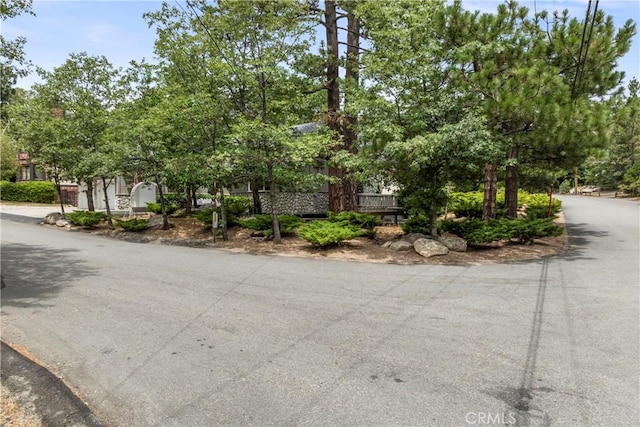28116 Lachen Rd, Lake Arrowhead, CA 92352 - photo 48