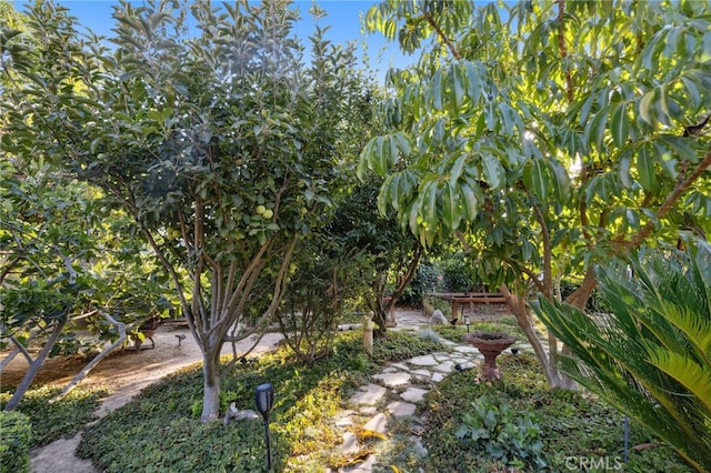 3676 Mariella St, Riverside, CA 92504 - photo 24