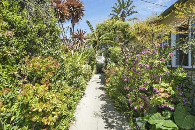 1136 Marco Pl, Venice, CA 90291 - photo 2