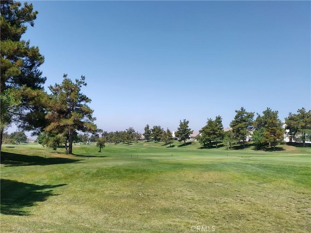 11811 Cramer Rd, Yucaipa, CA 92399 - photo 30