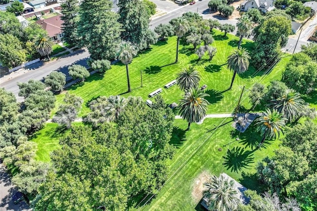 705 Marin, Corning, CA 96021 - photo 47