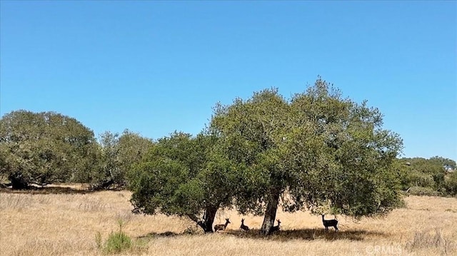 2681 Flora Rd, Lompoc, CA 93436 - photo 47
