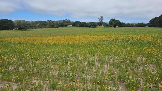 2681 Flora Rd, Lompoc, CA 93436 - photo 4