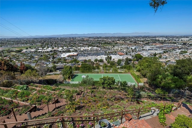 4317 Paseo De Las Tortugas, Torrance, CA 90505 - photo 2