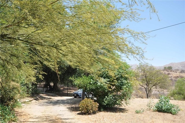 2090 Mt Vernon Ave, Riverside, CA 92507 - photo 4