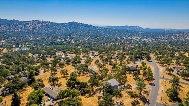 29997 Corral Dr, Coarsegold, CA 93614 - photo 61