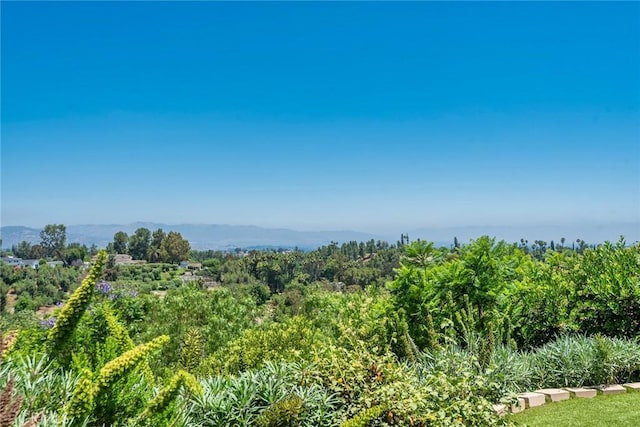 5207 Saddle Creek Rd, Hidden Hills, CA 91302 - photo 51