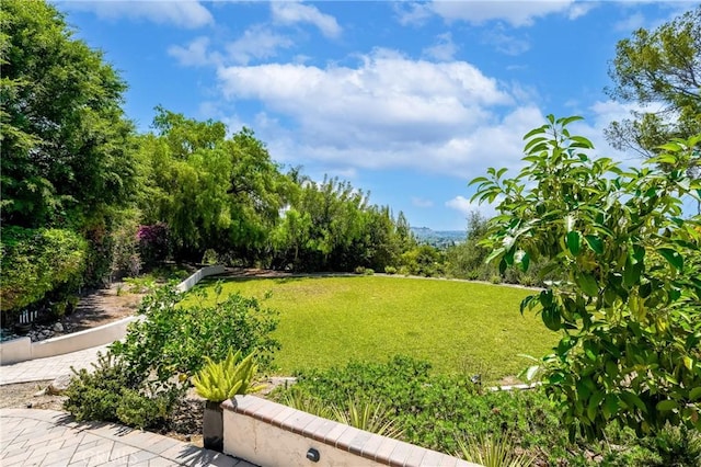 955 N Easley Canyon Rd, Glendora, CA 91741 - photo 59