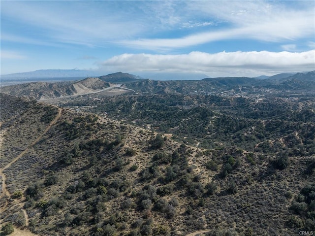 8243 Simson Rd, Pinon Hills, CA 92372 - photo 9