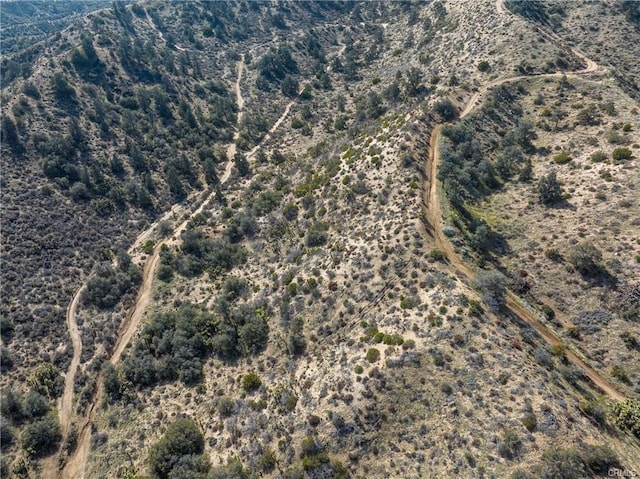 8243 Simson Rd, Pinon Hills, CA 92372 - photo 14