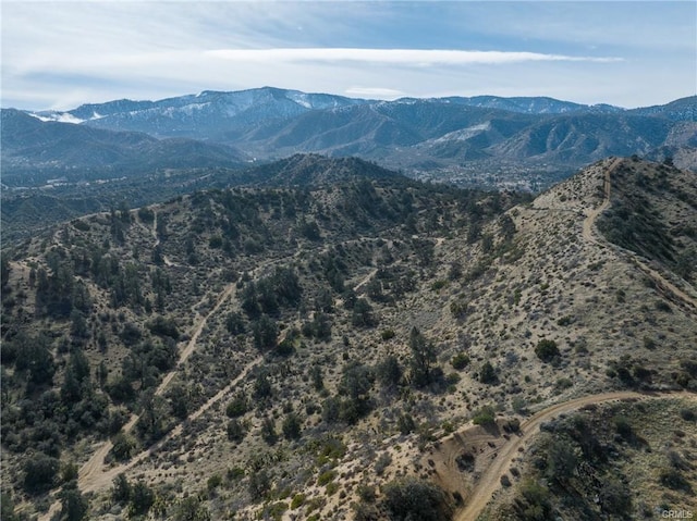 8243 Simson Rd, Pinon Hills, CA 92372 - photo 15