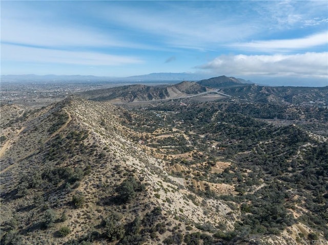 8243 Simson Rd, Pinon Hills, CA 92372 - photo 10