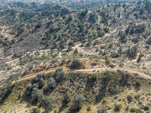 8243 Simson Rd, Pinon Hills, CA 92372 - photo 5