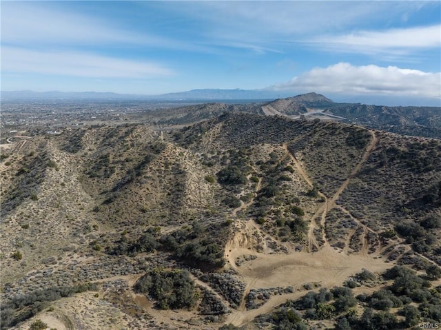 8243 Simson Rd, Pinon Hills, CA 92372 - photo 8