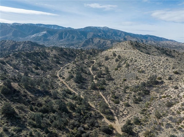 8243 Simson Rd, Pinon Hills, CA 92372 - photo 12