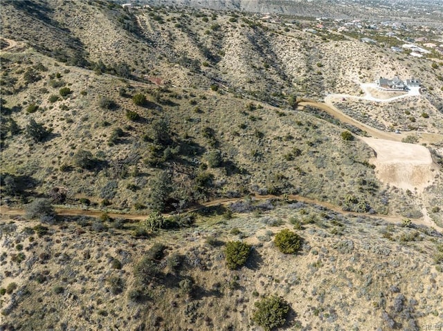 8243 Simson Rd, Pinon Hills, CA 92372 - photo 4