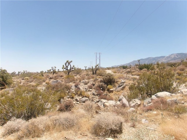 8020 Miller Ranch Rd, Lucerne Valley, CA 92356 - photo 3