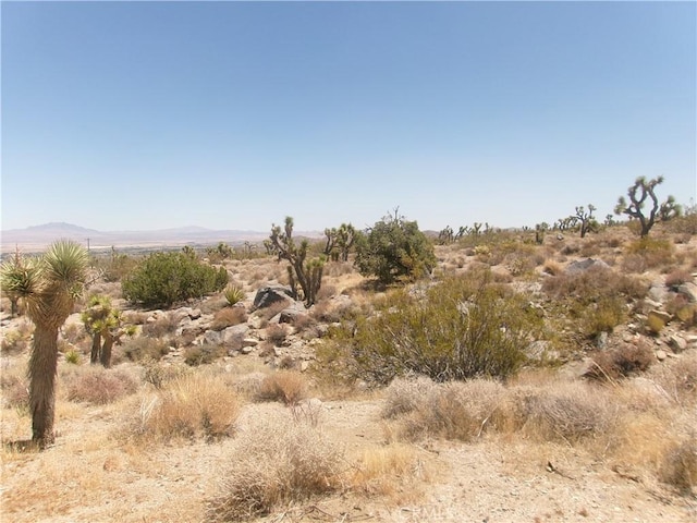 8020 Miller Ranch Rd, Lucerne Valley, CA 92356 - photo 1