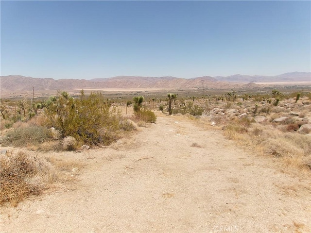 8020 Miller Ranch Rd, Lucerne Valley, CA 92356 - photo 4