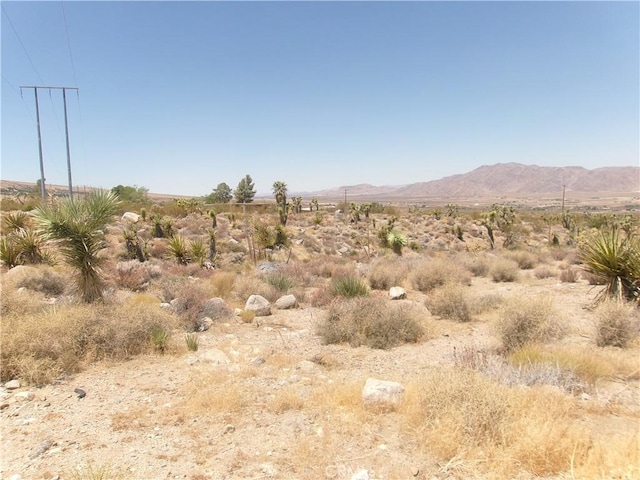 8020 Miller Ranch Rd, Lucerne Valley, CA 92356 - photo 2