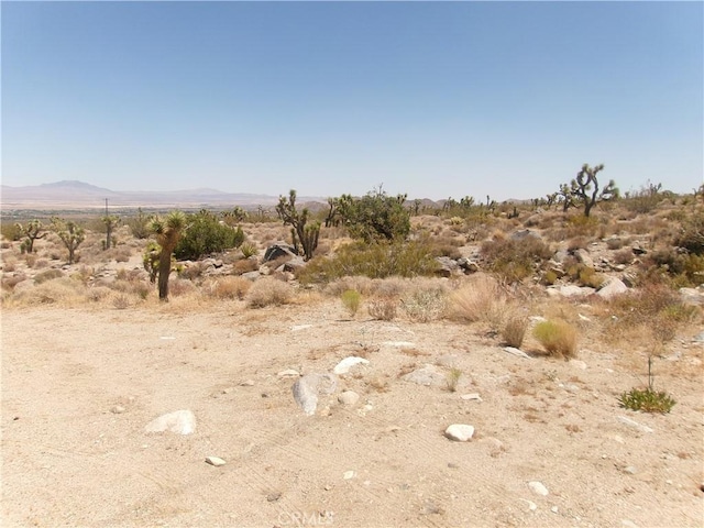 8020 Miller Ranch Rd, Lucerne Valley, CA 92356 - photo 7