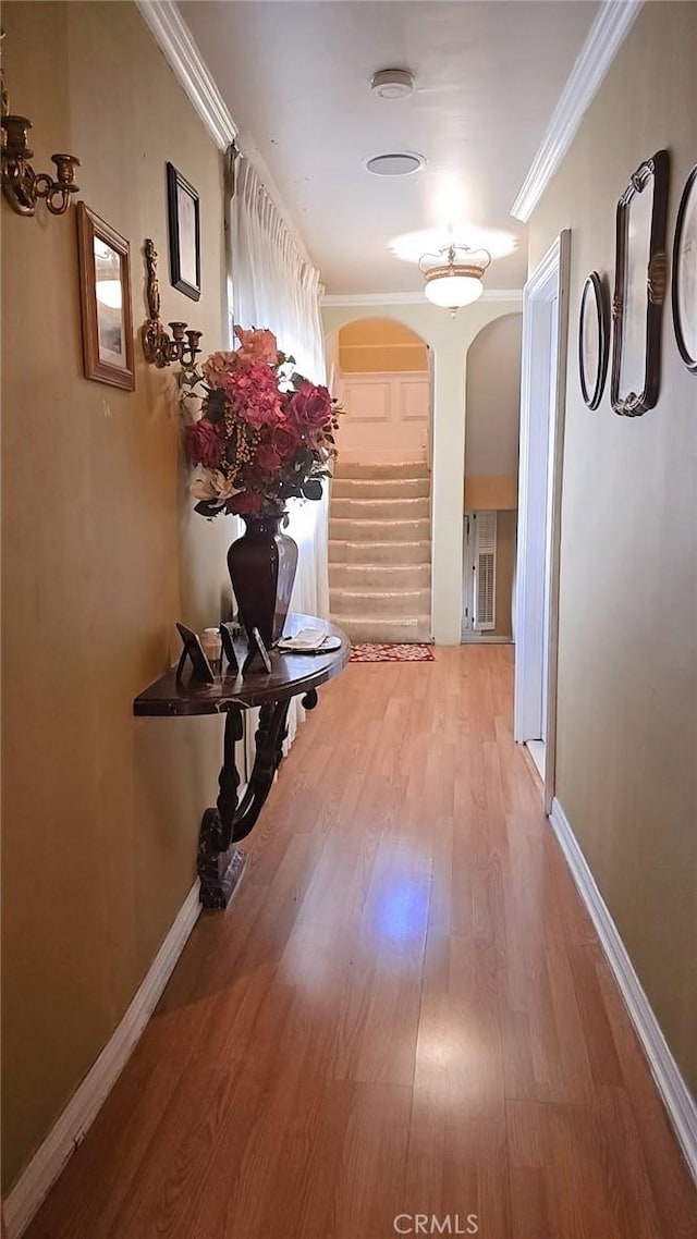 3414 Amethyst St, Los Angeles, CA 90032 - photo 8
