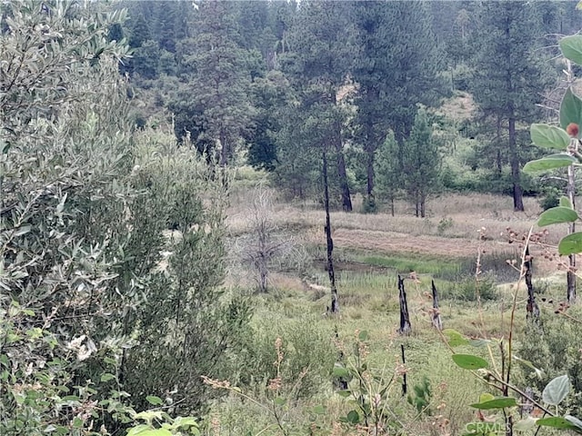 3979 Yellow Wood Rd, Oroville, CA 95965 - photo 2