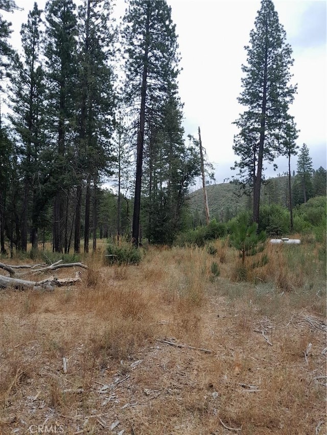 3979 Yellow Wood Rd, Oroville, CA 95965 - photo 4