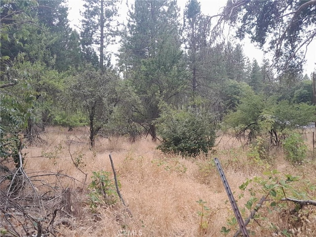 3979 Yellow Wood Rd, Oroville, CA 95965 - photo 7
