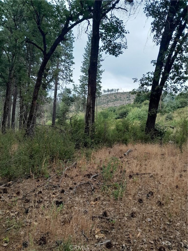3979 Yellow Wood Rd, Oroville, CA 95965 - photo 5