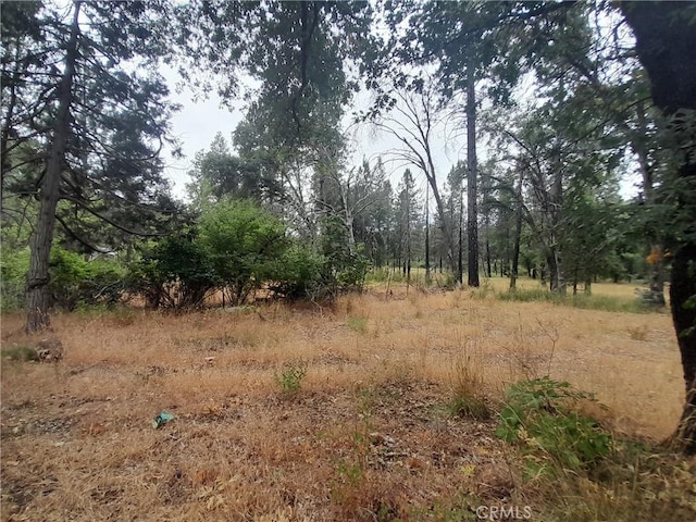 3979 Yellow Wood Rd, Oroville, CA 95965 - photo 3