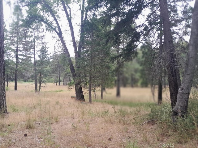 3979 Yellow Wood Rd, Oroville, CA 95965 - photo 6