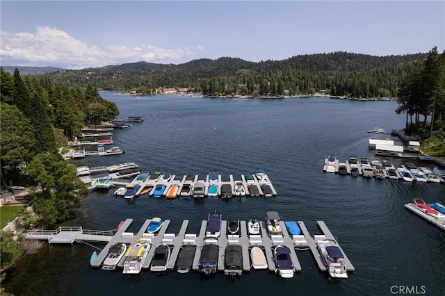 27843 Peninsula Dr N, Lake Arrowhead, CA 92352 - photo 30